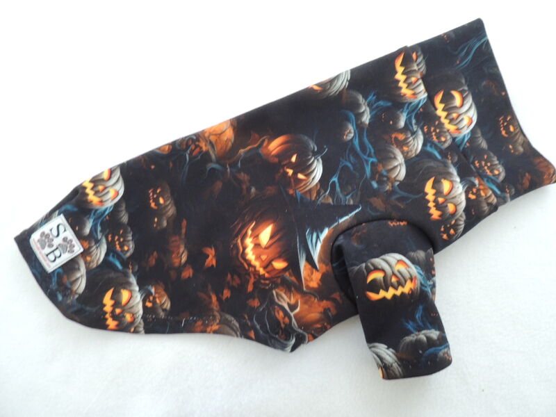 SMALL In Stock Spooky Forest Euro French Terry Knit Dog Shirt - product images  of 