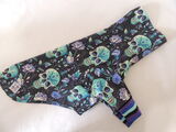 product images  of 