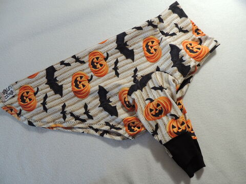 MEDIUM,IN,STOCK,Pumpkins,and,Bats,Bamboo,Jersey,Dog,Tshirt,-Halloween