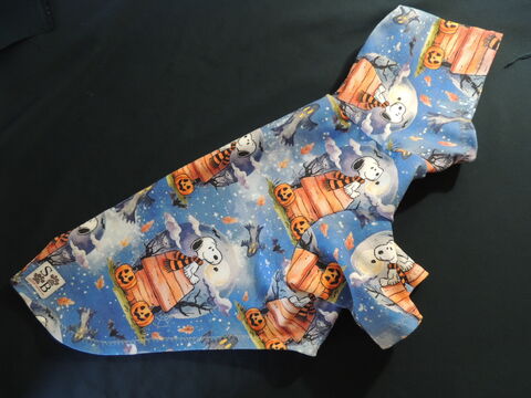 IN,STOCK,LG,Haunted,Dog,House,French,Terry,Hoodie