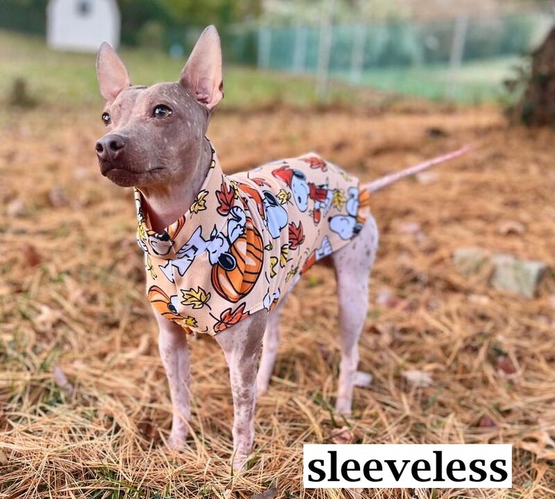 Snoopy Fall Skinny Fleece Custom Made Fleece Dog Sweater or Vest - product images  of 