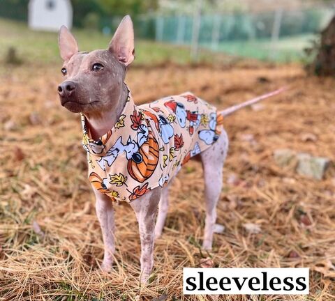 Snoopy,Fall,Skinny,Fleece,Custom,Made,Dog,Sweater,or,Vest,nordic, spoiled bratzwear, italian greyhound clothes, IG clothing, iggy couture, iggy wear, iggy gear, best dog clothes
