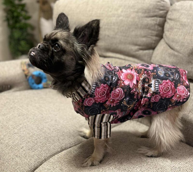 Several new sugar skull prints tshirt cotton lycra knits - product images  of 