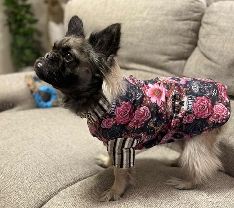 Several,new,sugar,skull,prints,tshirt,cotton,lycra,knits