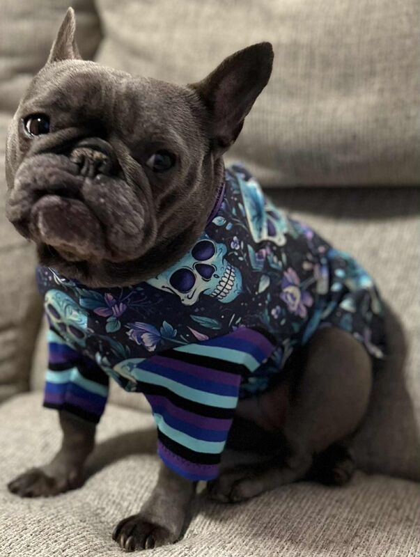 Several new sugar skull prints tshirt cotton lycra knits - product images  of 