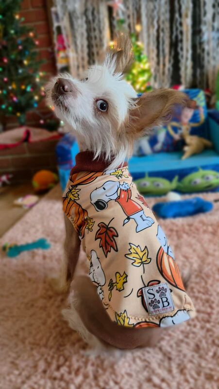 LAST CALL! Snoopy Fall Skinny Fleece Custom Made Fleece Dog Sweater or Vest - product images  of 