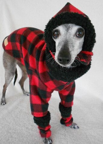 PREORDER,Red,Buffalo,Plaid,Warm,Fleece,Ensemble-Sweater,,Hat,and,Leg,Warmers,italian greyhound clothes, winter dog, lumberjack dog sweater, plaid, best dog clothes, custom dog clothes
