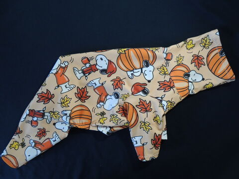 LARGE,15.5,Fall,Snoopy,Skinny,Fleece,Romper