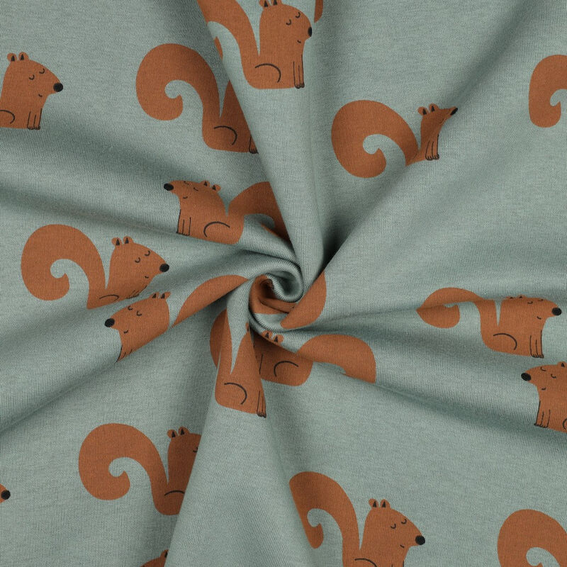 Squirrels on Sage European Sweatshirt Fleece-ROMPER  - product images  of 