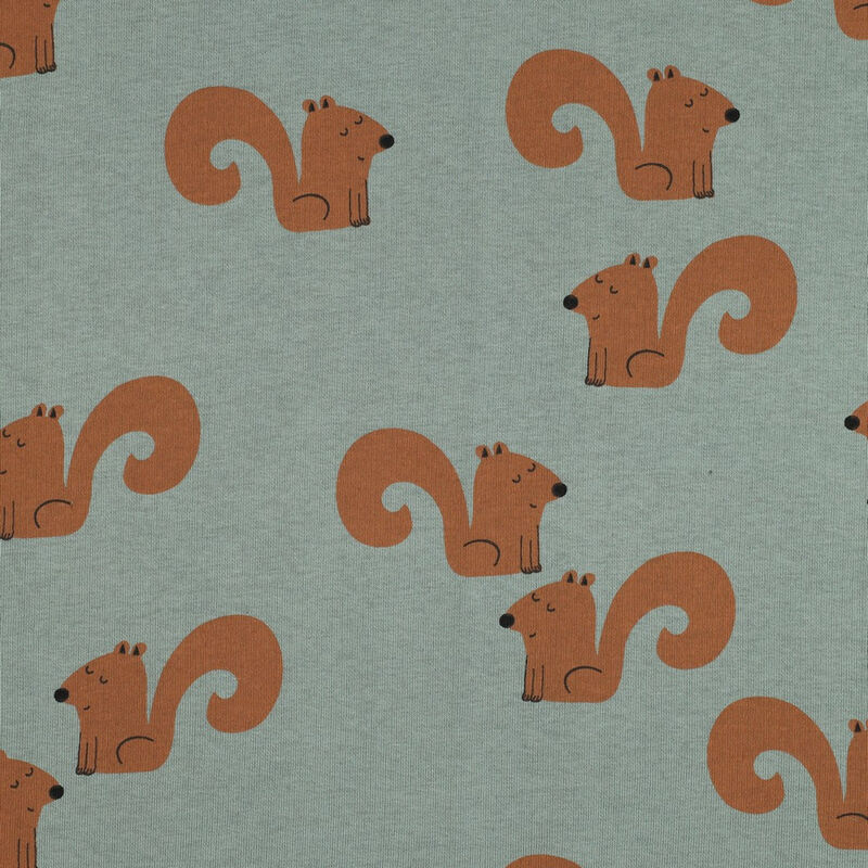 Squirrels on Sage European Sweatshirt Fleece-ROMPER  - product images  of 