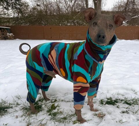 NEW,PRINTS!,Warm,Fleece,Dog,Romper,Custom,Made,italian greyhound clothes, organic dog clothes, italian greyhound clothing, italian greyhound sweater, italian greyhound winter suit