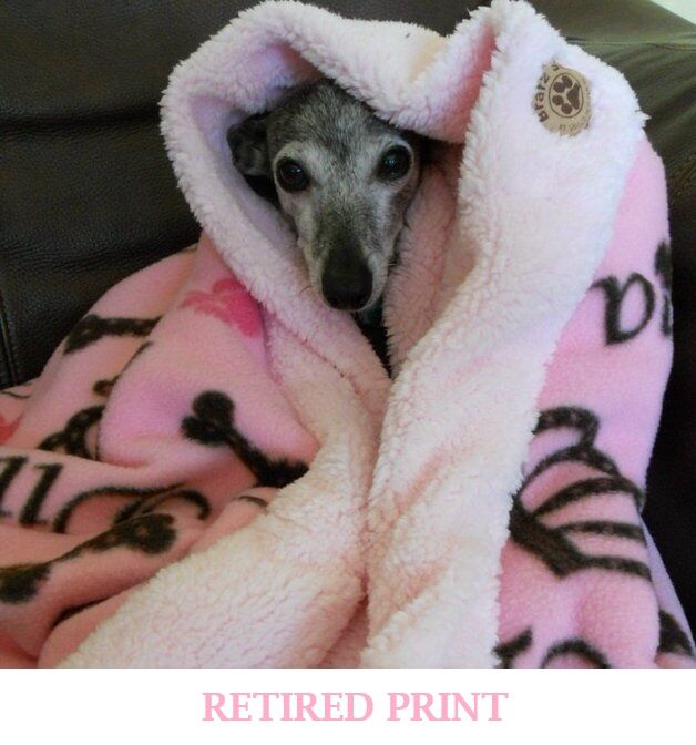 Snow Leopard &amp; Faux Chinchilla Bratz Sax  - product images  of 