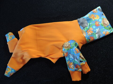 MEDIUM,K9,Sunwear,Suit,Ocean,Friends,Orange