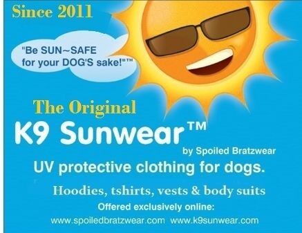 MEDIUM K9 Sunwear Suit Ocean Friends Orange - product images  of 