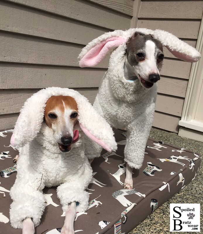 Fluffy Bunny Hoodie with Hood and Bunny Ears - product images  of 