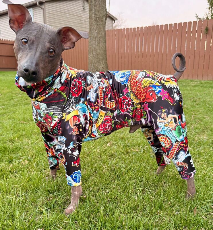 K9 Sunwear™ Full Body NO BURN SUIT-UV protection - product images  of 