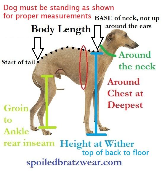 K9 Sunwear™ Heathered HOODIE UV Protection for Italian greyhounds and small dogs - product images  of 