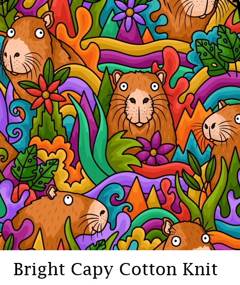 Denim 'n Tee Custom Dog Romper-many prints - product images  of 