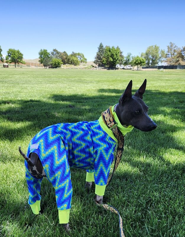 K9 Sunwear™ Full Body NO BURN SUIT-UV protection - product images  of 