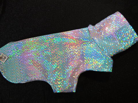 IN,STOCK,LARGE,Dragon,Shimmer,Coat