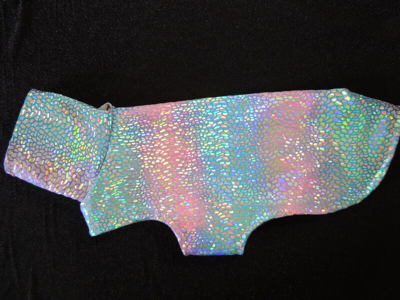 IN STOCK LARGE Dragon Shimmer Coat - product images  of 