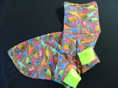 IN,STOCK,SMALL,K9,Sunwear,Tshirt,Bright,Dinosaurs