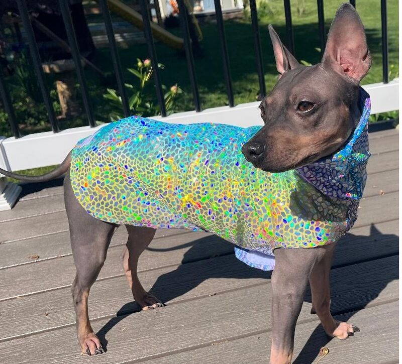 Dragon Scales Holo Shimmer Summer Coat - product images  of 