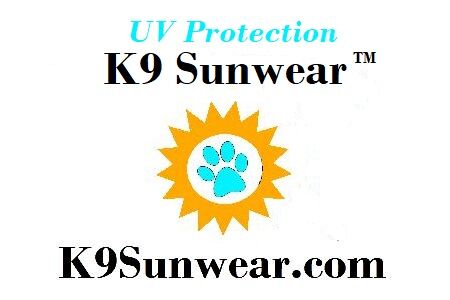 Jonesy Brite Dragon Shimmer--K9 Sunwear™ NO BURN SUIT-UV protection - product images  of 