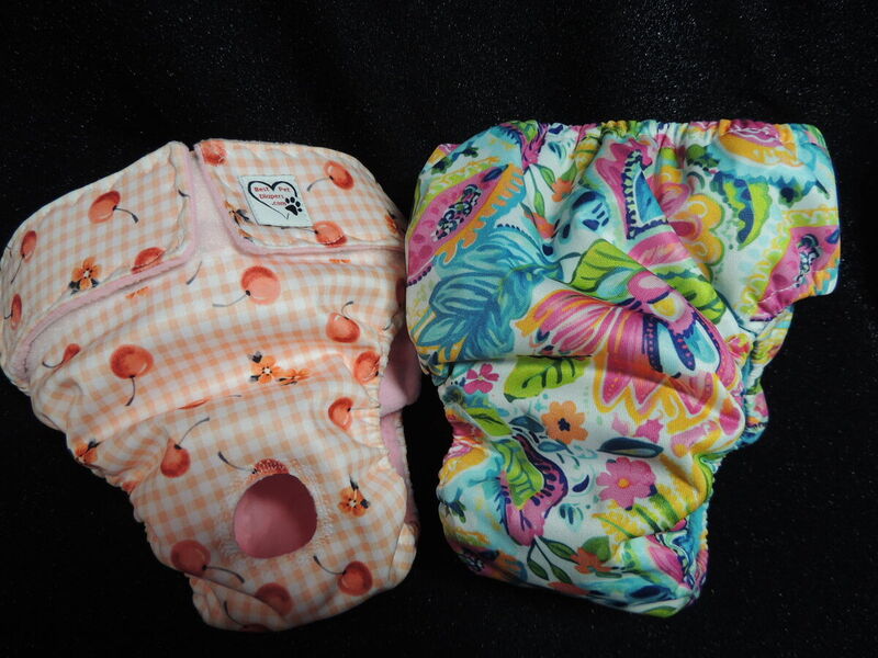Diva Pantz™ ONE Washable Female Dog Pantie Diaper - product images  of 