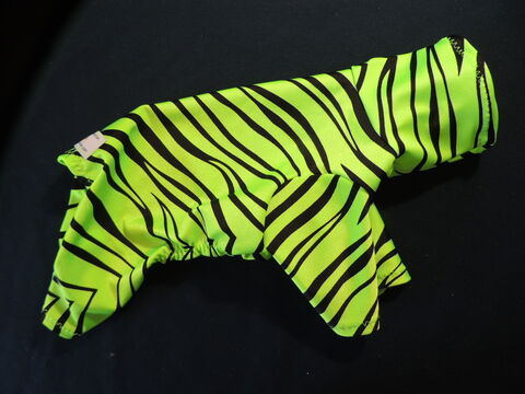 XXS,K9,Sunwear,Lime,Zebra,Suit