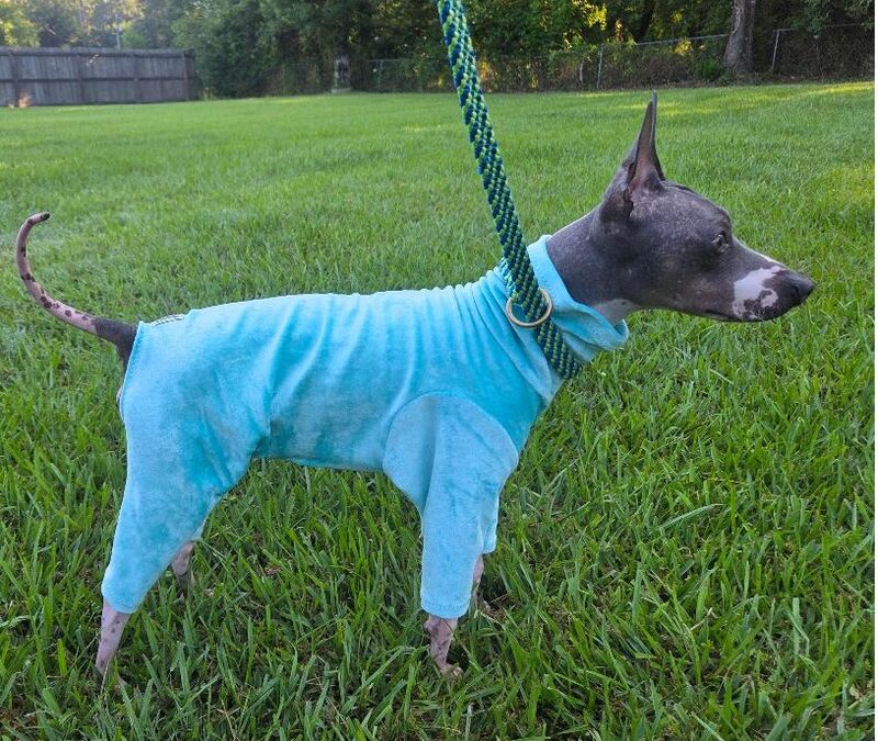 Luxury Bamboo Velour Eco Friendly Cuddler for Dogs-custom made for Italian greyhounds and small dogs - product images  of 