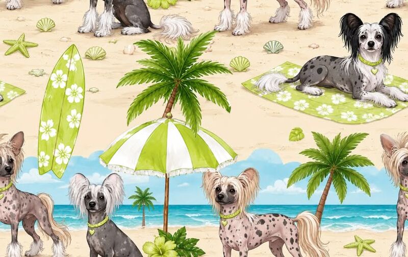 PREORDER Beachy Cresties K9 Sunwear ROMPER - product images  of 