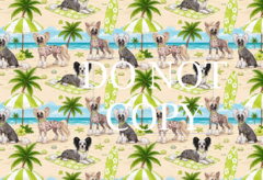 Product images  of 