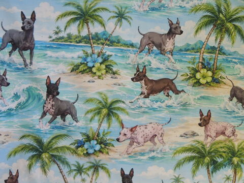 Beachy,American,Hairless,Terriers,K9,Sunwear,ROMPER