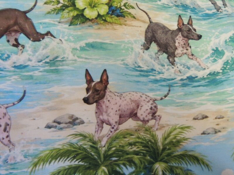 Beachy American Hairless Terriers K9 Sunwear ROMPER - product images  of 