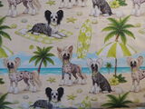 product images  of 