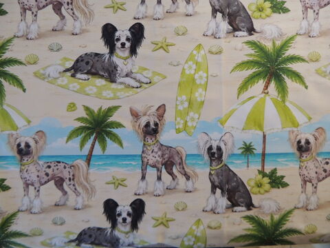 Beachy,Chinese,Crested,Dogs,K9,Sunwear,ROMPER