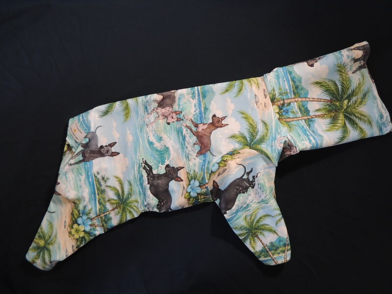 Beachy American Hairless Terriers K9 Sunwear ROMPER - product images  of 