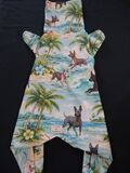 product images  of 
