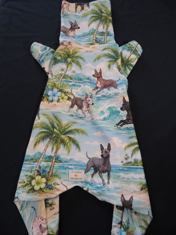 Beachy American Hairless Terriers K9 Sunwear ROMPER - product images  of 