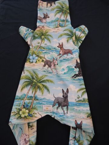 Beachy,American,Hairless,Terriers,K9,Sunwear,ROMPER