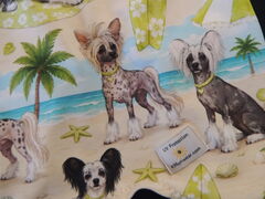 Product images  of 