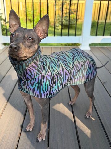 Moonbrite,Safety,Reflective,Walking,Coat-custom,made