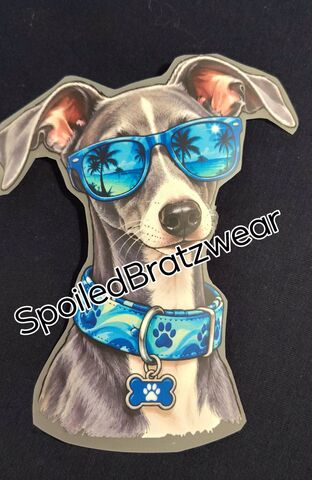 Beachy,Iggy,Ladies,tshirts-colors,and,tie,dye