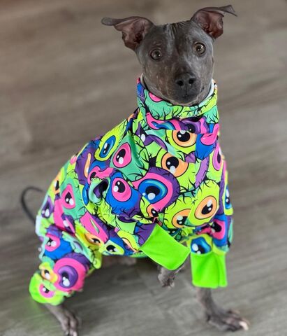 Spooky,Eyeballs,Custom,K9,Sunwear,UV,protective,SUIT