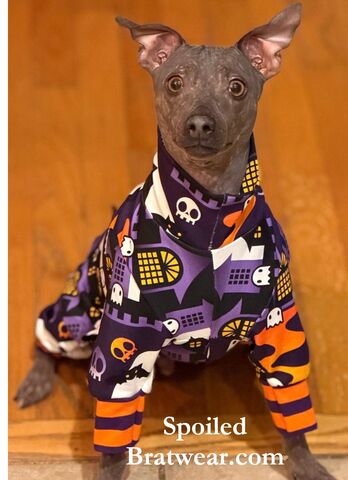 BOO!,Haunted,House,Organic,Cotton,Knit,Halloween,Dog,Romper