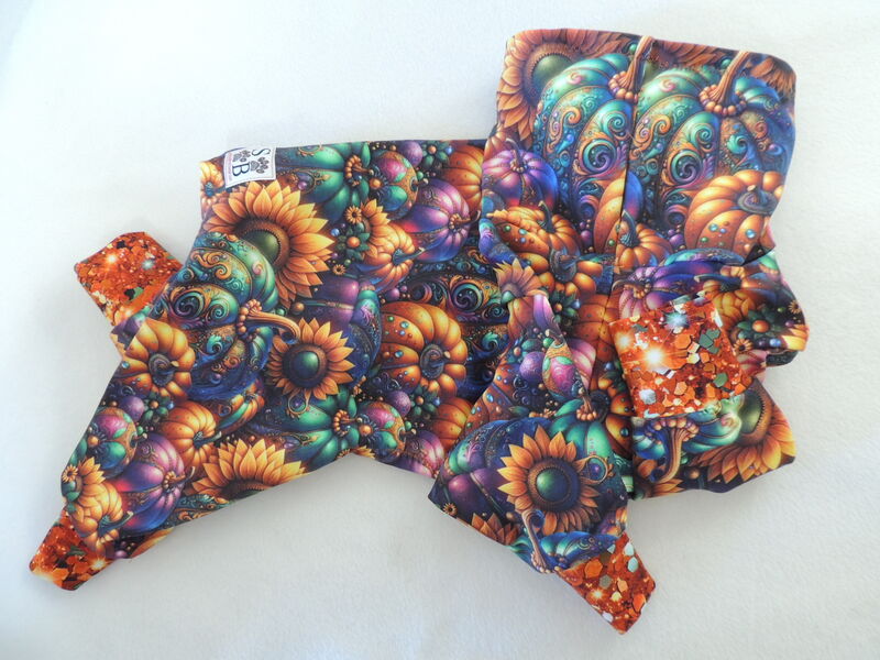 Jeweled Pumpkins SKINNY FLEECE Dog Romper-2 colorways - product images  of 