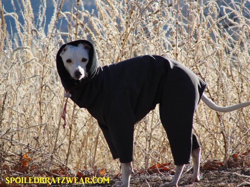 Waterproof Rain and Snow Dog Suit- COLORS - product images  of 