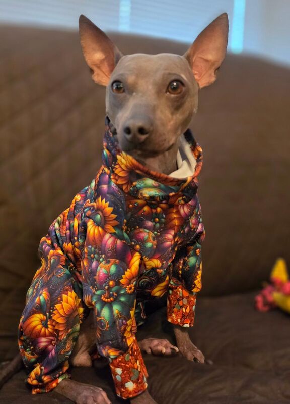 Jeweled Pumpkins SKINNY FLEECE Dog Romper-2 colorways - product images  of 