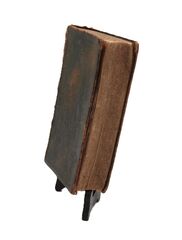 Product images  of 
